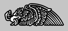 a black and white drawing of an eagle with wings on it's back side