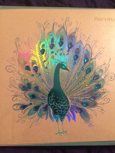 a peacock with feathers on it's back