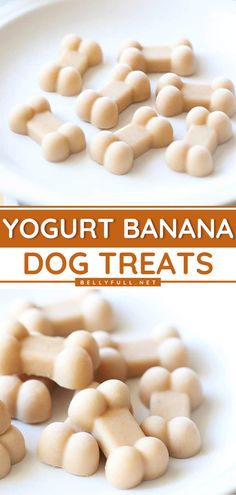 Yogurt Banana Dog Treats Recipe How To Store Frozen Dog Treats, Diy Grain Free Dog Treats, Food To Take On Hunting Trip, Easy Homemade Puppy Treats, How To Make Homemade Dog Treats Easy, Make Your Own Puppy Treats, Frozen Treats For Dogs Recipe, Dog Food Treats Homemade, Easy Frozen Dog Treat Recipes