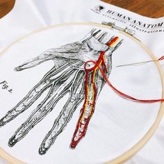 an embroidery project with a hand drawn on it