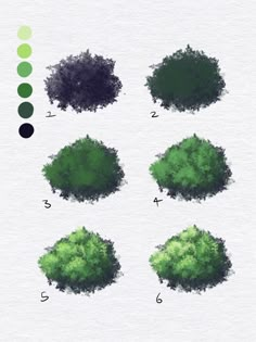 the steps in how to paint trees with watercolors