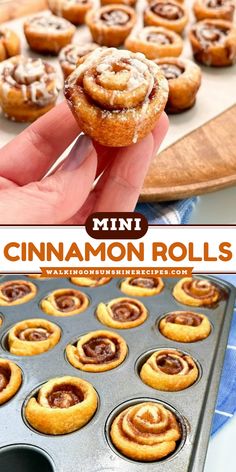 Craving a sweet treat but short on time? Try this shortcut recipe for Mini Cinnamon Rolls using Crescent Rolls. Mini Cinnamon Rolls Crescents, Crescent Roll Recipes Cinnamon Rolls, Crescent Roll Mini Cinnamon Rolls, Mini Cinnamon Roll Apple Pie Cups, Breakfast Ideas Pillsbury Crescent Rolls, Easy Breakfast Ideas Crescent Rolls, Pastry Roll Recipes, Mini Quick Breads, Cinnamon Rolls Crescent Dough