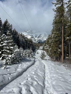 a snow covered road in the middle of some pine trees with mountains in the background