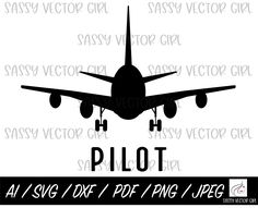 an airplane with the word pilot on it's tail and landing gear is shown