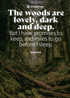 the woods are lovely dark and deep but i have proms to keep, and miles to go before i sleep