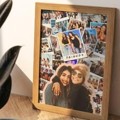 a wooden frame with pictures of two women and the words friends written on it is sitting next to a potted plant