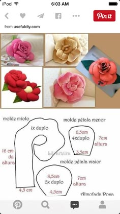 the instructions for how to make paper flowers with pictures on them and then cut out