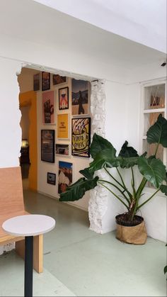 there is a plant in the corner of this room with pictures on the wall behind it