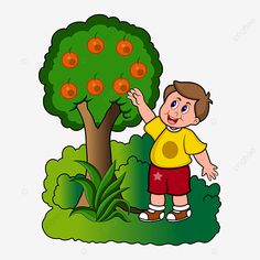 a little boy standing next to a tree with oranges on it, cartoon, illustration png and psd