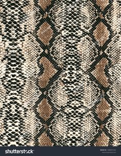 snake skin texture background in brown and white colors