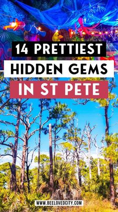 The Saint Hotel St Pete, Fun Things To Do In St Petersburg Fl, St Pete Beach Florida Things To Do, St Petersburg Florida Bachelorette Party, Things To Do In St Petersburg Florida, St Petersburg Florida Restaurants, Florida Downtown, Madeira Beach Florida, Palmetto Florida