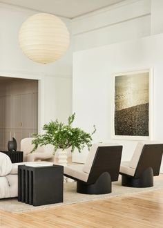 a living room filled with furniture and a plant in the middle of the room on top of a hard wood floor