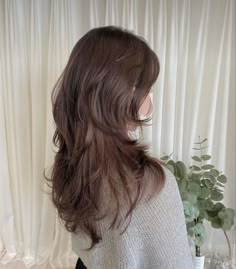 Long Wolf Cut No Bangs, Hush Cut Vs Wolf Cut, Medium Length Hush Cut, Layered Hair Cuts With Bangs, Haircut For Small Face, Long Wavy Haircuts With Layers, V Cut Hair With Layers Medium, Korean Layered Haircut, Korean Highlights