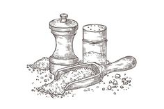 salt and pepper shakers on a white background, hand drawn illustration in vintage engraving style