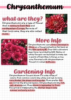 the different types of flowers and their names