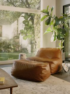 a brown bean bag chair sitting in front of a window next to a potted plant