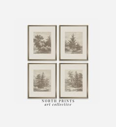 four framed pictures with trees on them in black and white, the words north pines art collective