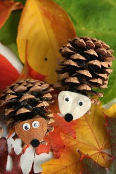 two pine cones with faces on them sitting next to leaves