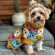 a small dog wearing a crocheted sweater sitting on top of a couch next to a potted plant