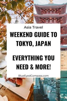 the words, travel guide to tokyo, japan everything you need and more on top