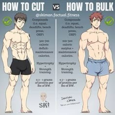 how to cut and how to bulk