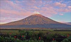 a large mountain towering over a lush green field under a cloudy blue and pink sky