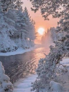 the sun is setting over a river surrounded by snow covered trees and evergreens in the foreground