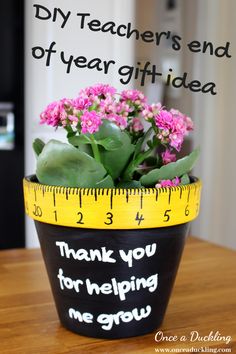 a potted plant sitting on top of a table with a measuring tape around it