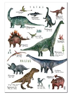 a poster with different types of dinosaurs