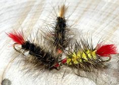 two red and yellow flies sitting on top of each other