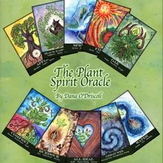 the plant spirit oracle by dana o'driscolli cover art card set