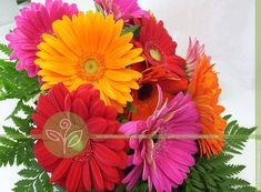 a vase filled with lots of colorful flowers