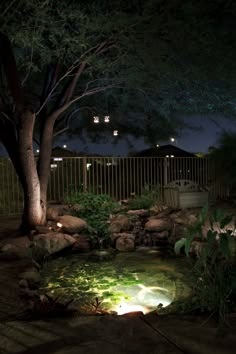 a small pond in the middle of a garden at night with lights shining on it