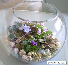 a glass bowl filled with plants and rocks