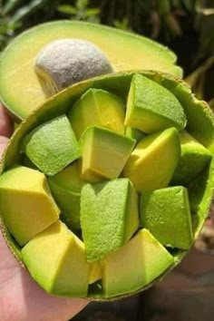 Food Photography Fruit, Fruits And Vegetables Pictures, Plats Healthy, Fresh Avocado, Healthy Food Motivation, Healthy Lifestyle Food, Fruit Platter, Snap Food, Fruit And Veg