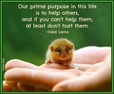 someone holding a small animal in their hand with the caption our prime purpose in this life is to help others, and if you can't