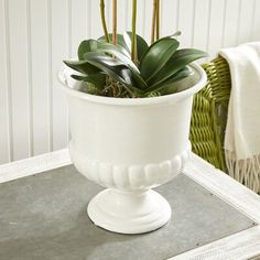 a white potted plant sitting on top of a table next to a wicker basket