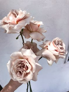 three pink roses in a vase on a table