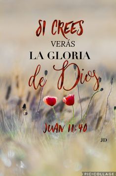 a field with flowers and the words in spanish on it that reads, si cres veras la gloria de dios