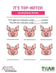 a pig's face is shown with the words it's top - notch