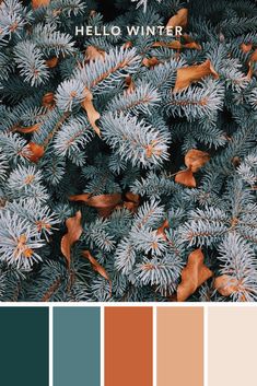 the color palette is blue, orange and green with some brown leaves on top of it