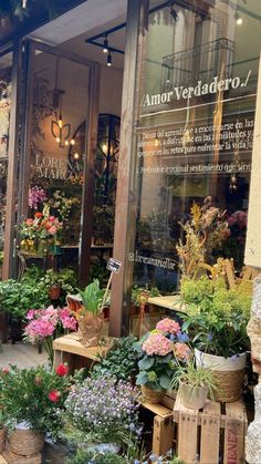 a flower shop with lots of flowers in the window