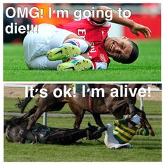 two pictures, one with a horse and the other with a man laying on the ground