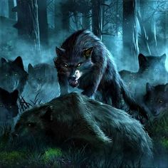 Cut Hair Short, Werewolf Aesthetic, Autumn Moon, Wolf Artwork, Fantasy Wolf, Wolf Stuff, Wolf Photos, Wolf Spirit Animal