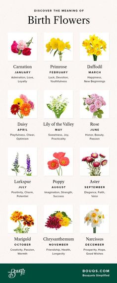 a poster with different types of flowers on it's sides and the names of each flower