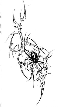 black and white drawing of a spider