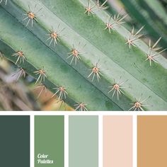 the color scheme is green and beige, with lots of small spikes on top of it