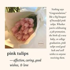 pink tulips in a paper bag with the words, affection caring good wishes & love