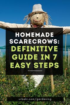 a scarecrow with the words homemade scarecrows defensive guide in 7 easy steps