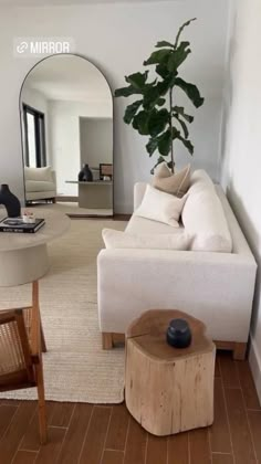 a living room filled with furniture and a plant in the middle of it's center